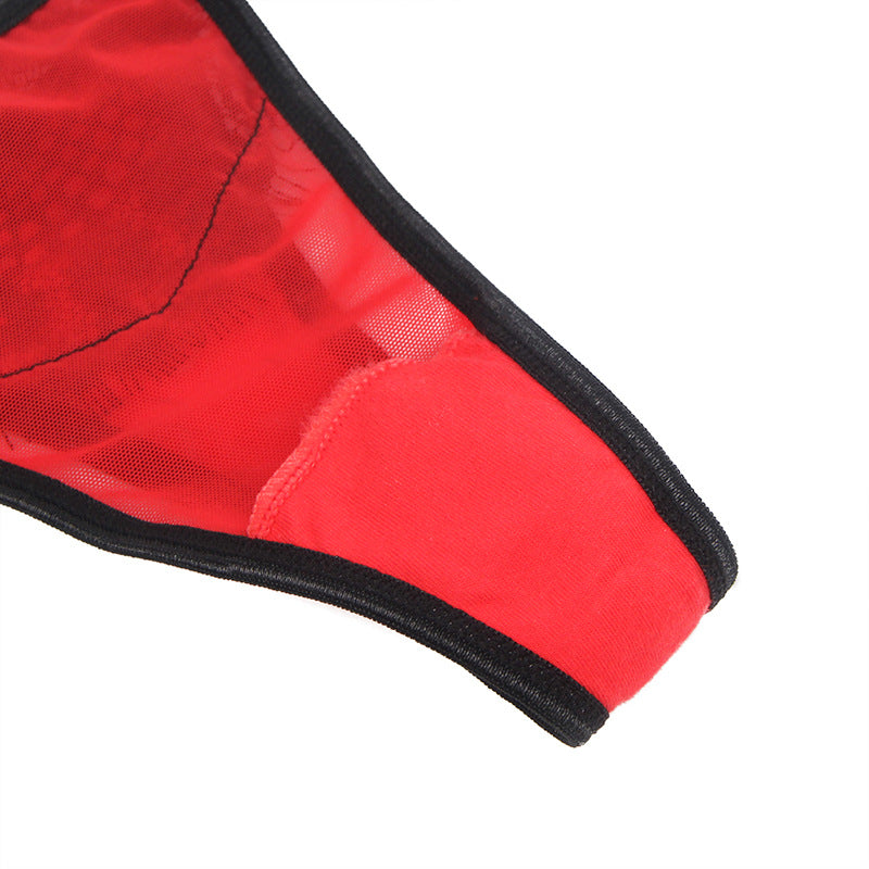 Garter Underwear Suspender Buckles Garterpanty